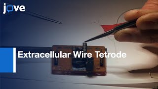 Extracellular Wire Tetrode Reordings in Brain  Protocol Preview [upl. by Tilden]