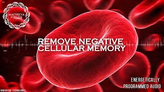 Remove Negative Cellular Memory  Energetically Programmed Audio  Maitreya Reiki™ [upl. by Doe]