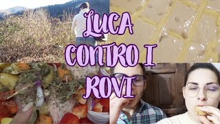 Vlog  NON è MAI ABBASTANZA e SONO UNA RAGAZZA SPECIALE 😂 [upl. by Ayotaj769]