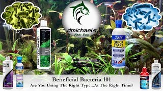 Beneficial Bacteria 101 Are You Using The Right Type At The Right Time [upl. by Letta]