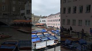 🥰Cambridge River Punting wtraveller travel shortvideo goingtocambridge😍 [upl. by Greenebaum]