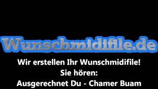 Wunschmidifilede  Ausgerechnet Du  Chamer Buamwmv [upl. by Amis655]