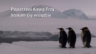 Poparzeni Kawą Trzy quotSzukam Cię Wszędziequot OFFICIAL LYRIC VIDEO [upl. by Tarsuss]