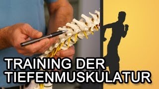 Training der Tiefenmuskulatur für einen starken Rücken [upl. by Hull]