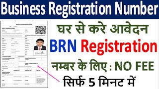 Business Registration Number Form Online Apply ¦ BRN No कैसे मिलेगा ¦ Rajasthan BRN Form Kaise Bhare [upl. by Burget]