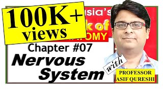 Chapter7  BD Chaurasia General Anatomy  Nervous System  Dr Asif Lectures [upl. by Epilef]