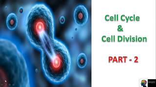 ICSE Class 10th Biology Cell Cycle amp Cell DivisionPart 2 [upl. by Elleunamme]