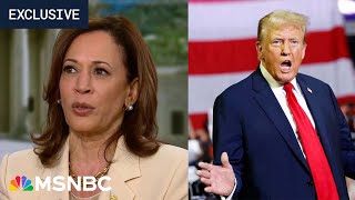 Its insulting VP Harris slams Trump for saying his indictments appeal to Black voters [upl. by Brothers513]