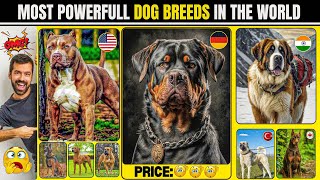 Most Powerfull dog breeds in the world🐕‍🦺🐶 [upl. by Leacim]