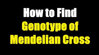 How to Find Genotype of F2 Generation of Mendelian Cross [upl. by Nerfe75]