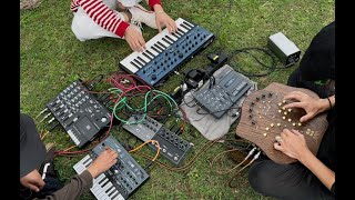 ambient jam with tascam tape loopmicrofreakcobalt 8and soma terra [upl. by Kaasi]