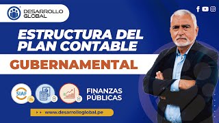 ESTRUCTURA DEL PLAN CONTABLE GUBERNAMENTAL [upl. by Walford]