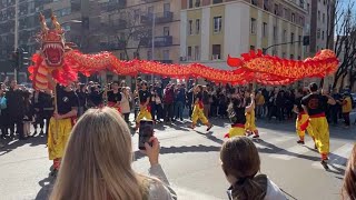 Capodanno CINESE Roma 2024 l’anno del DRAGO 🐉 [upl. by Mikel]