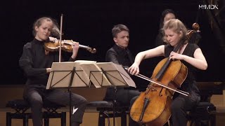 Brahms Piano Trio B major op 8 1889  Amelio Trio [upl. by Attenhoj]