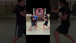 Karate Front Kick by Lyoto Machida [upl. by Nedla]