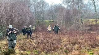 Spaniel championship 2023 Dave Templars Second run with FTCH Sedgewood Poppy Of countryways [upl. by Meras]