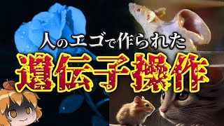 【魔改造】遺伝子操作によって生み出されたヤバい生き物4選 [upl. by Nylsor]