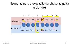 A nota DO repetida na gaita cromática [upl. by Hpsoj975]