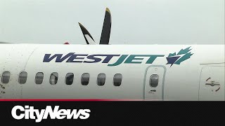 WestJet making progress on repairing planes damaged in Calgary hailstorm [upl. by Battiste]