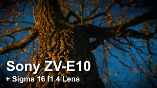 Sony ZV E10  Sigma 16mm f14 Cinematic Video Footage [upl. by Portugal]