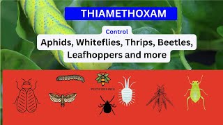 Exploring Thiamethoxam Uses Mode of Action and Environmental Considerations [upl. by Aggi]