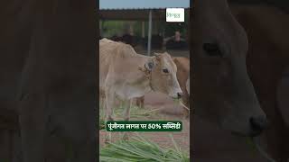 Kisan Of India News Update इन राज्यों में फसल बीमा करने की आखिरी तारीख  shorts [upl. by Herbst]