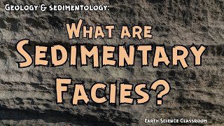 What Are Sedimentary Facies [upl. by Mcnully]