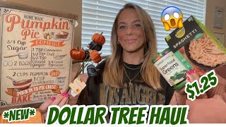 DOLLAR TREE HAUL  NEW  AMAZING BRAND NAME FINDS [upl. by Oigimer422]