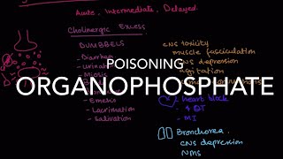 Understanding Organophosphate Poisoning Symptoms and Treatment [upl. by Nostaw136]