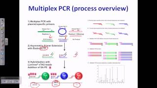 PCR types [upl. by Dido]