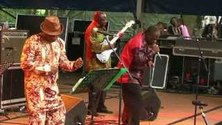 Samba Mapangala amp Orchestra Virunga  2  LIVE at Afrikafestival Hertme 2012 [upl. by Fredrick]