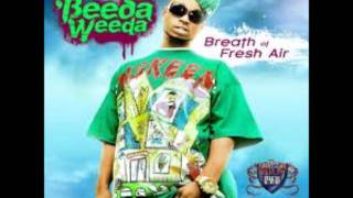 Beeda Weeda  Bassrock Babies Prod DJ Fresh [upl. by Annoiek]