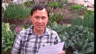 Can I Compost Oranges and Other Citrus Fruits amp More Organic Gardening QampA [upl. by Ellehcit]