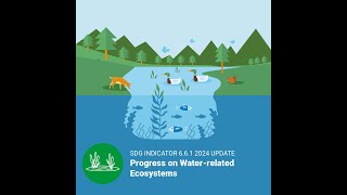 SDG 6 Waterrelated ecosystems [upl. by Edlitam39]