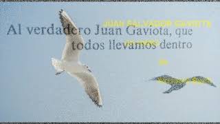 Juan Salvador Gaviota de Richard Bach audio libro  completo [upl. by Elatnahc732]