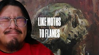 1ST LISTEN REACTION Like Moths To Flames  Ameliorate [upl. by Chu]