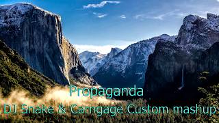 Propaganda  DJ Snake amp Carnage Remix [upl. by Thamora]