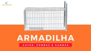 Armadilha para Gatos gatoeira Pombos Gambas  ChocMaster [upl. by Zebapda689]