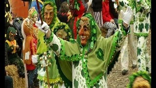 Landschaftstreffen der Narren in Tettnang 16022014 [upl. by Annecorinne]