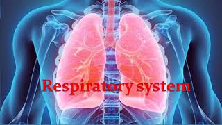 Respiratory physiology Lecture 2 Intrapleural and intrapulmonary pressures [upl. by Ahsirek600]