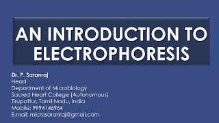 An Introduction to Electrophoresis [upl. by Nealy]