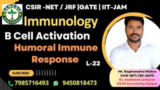 Activation of B Cells  Humoral Immune Response  Immunologygenesisinstitute [upl. by Anelleh574]