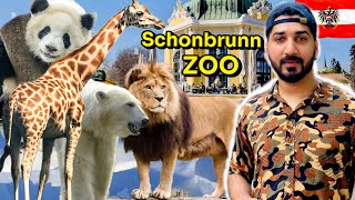 The oldest zoo in europe  Tiergarten Schönbrunn zoo Vienna Austria 🇦🇹 [upl. by Treblig408]