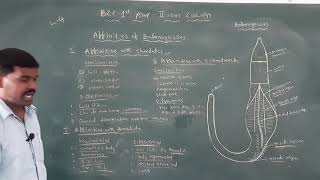 2ndsem Affinities of Balanoglosses L4 [upl. by Nnairrek]