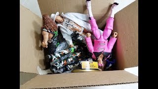 EPIC RARE WWE FIGURE UNBOXING [upl. by Meeka]