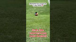 Maria Alice escorregou comLucas Corajosa [upl. by Atiner]