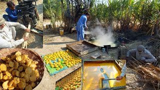 Jaggery production process  Traditional method of Punjab  how to make gur with sugarcane [upl. by Gere]