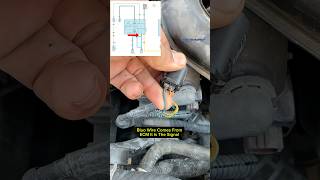 Toyota Alternator 4 Pin Connector Wiring Daigram short [upl. by Vetter12]