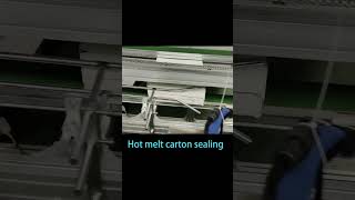 Efficient Carton Sealing Carton Sealing with Hot Melt Adhesive [upl. by Jacy]