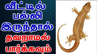 வீட்டில் பல்லி இருந்தால் தவறாமல் பார்க்கவும்  T Tamil Technology  lizard facts [upl. by Intisar]